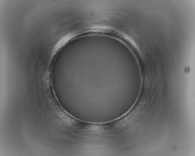 X0000091291362200708101237