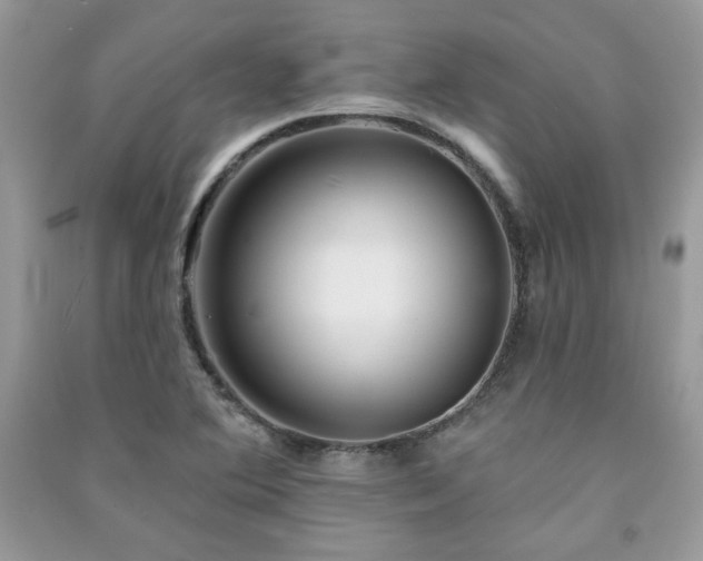 X0000091291364200708101237