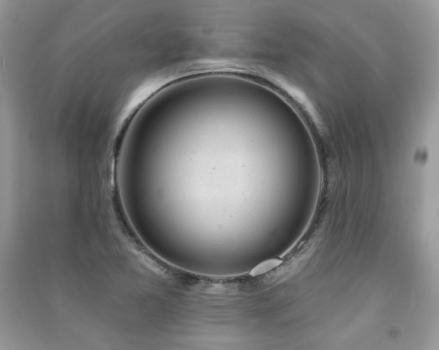X0000091291365200708101237