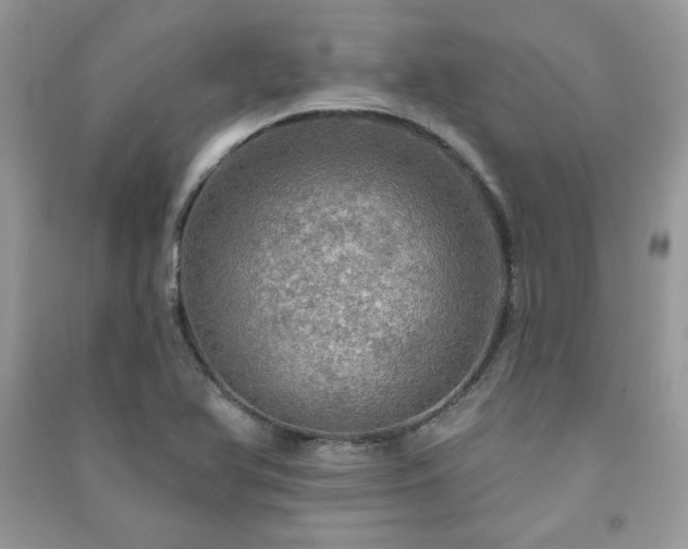 X0000091291366200708101237