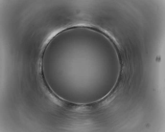 X0000091291367200708101237