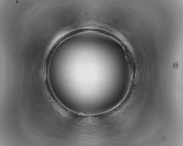 X0000091291368200708101237