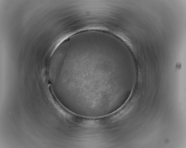 X0000091291369200708101237