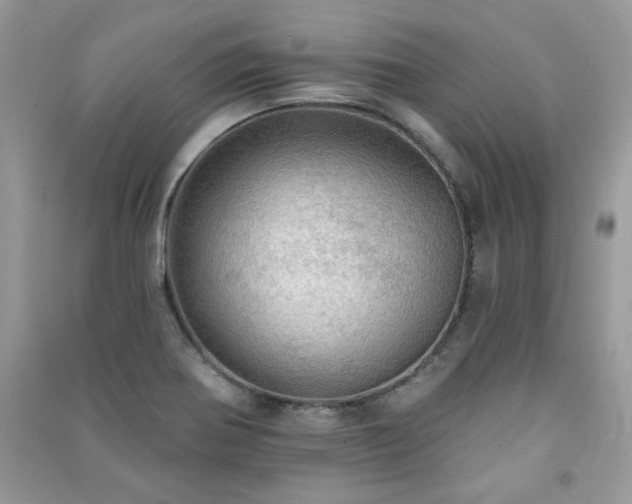 X0000091291370200708101237