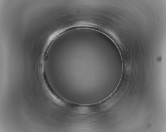 X0000091291371200708101237