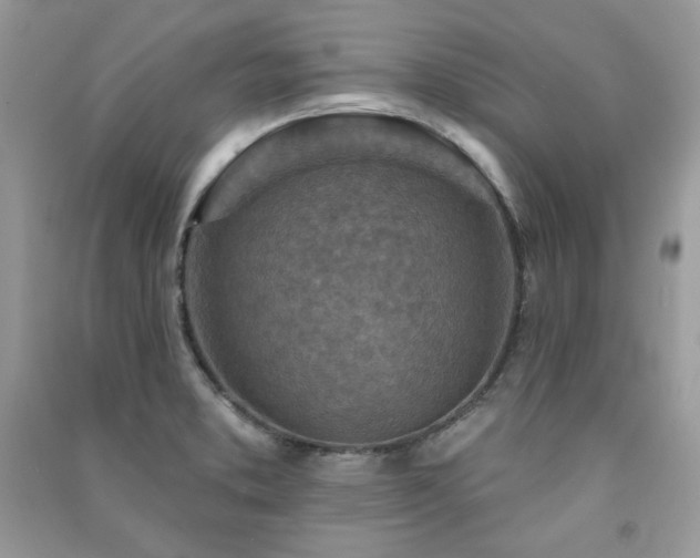 X0000091291373200708101237