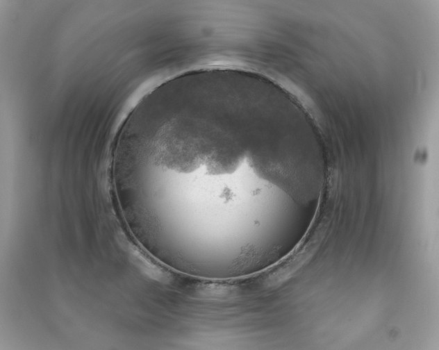 X0000091291374200708101237