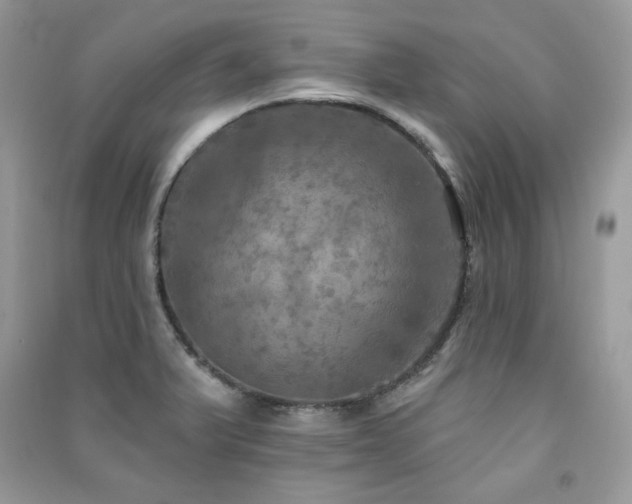 X0000091291375200708101237