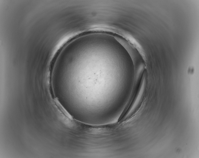 X0000091291376200708101237