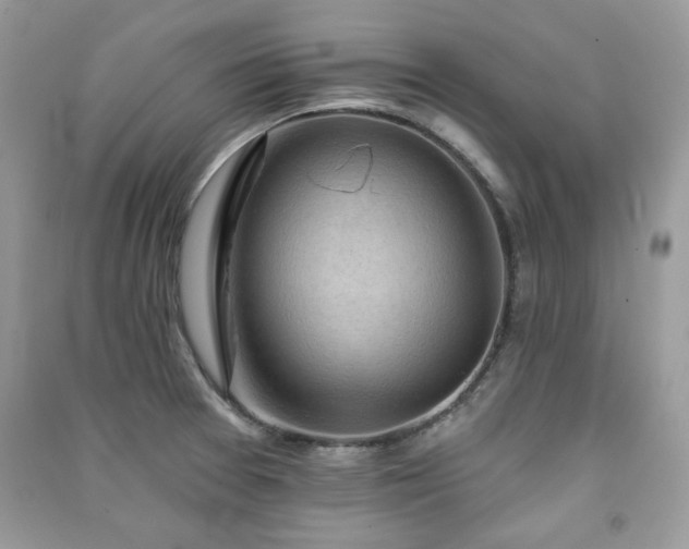 X0000091291377200708101237
