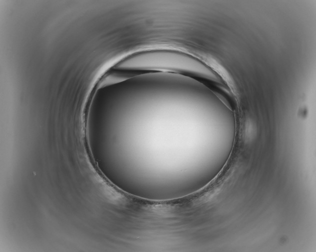 X0000091291380200708101237