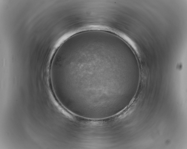 X0000091291381200708101237