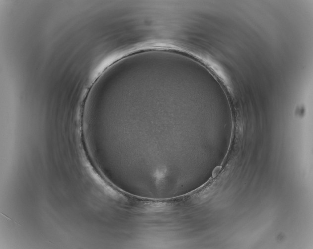 X0000091291382200708101237