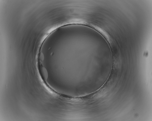 X0000091291383200708101237