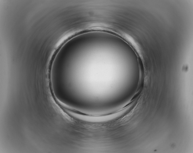 X0000091291384200708101237