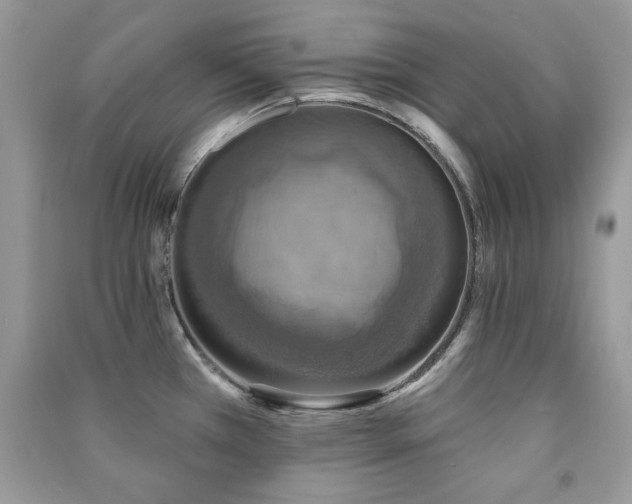 X0000091291385200708101237