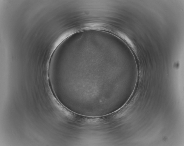 X0000091291386200708101237