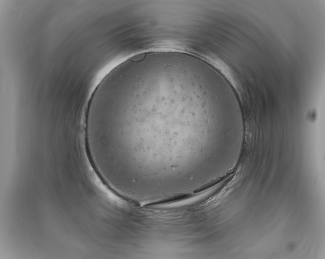 X0000091291387200708101237