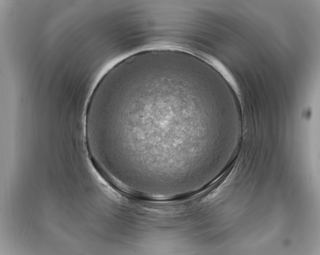 X0000091291388200708101237