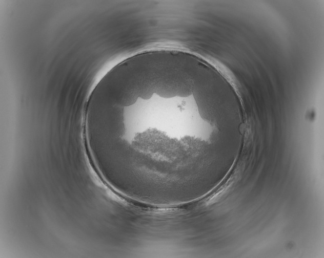 X0000091291390200708101237
