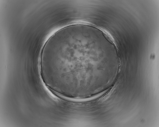 X0000091291391200708101237