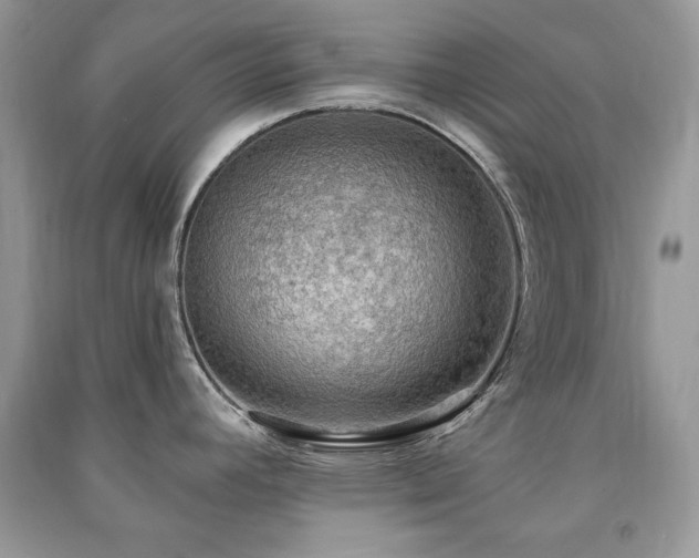 X0000091291392200708101237