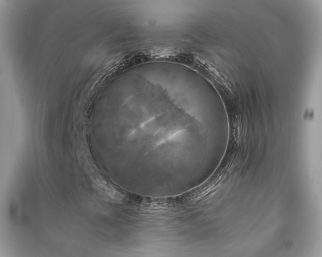X0000091291393200708101236