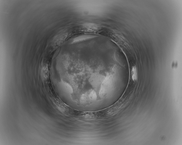 X0000091291395200708101236
