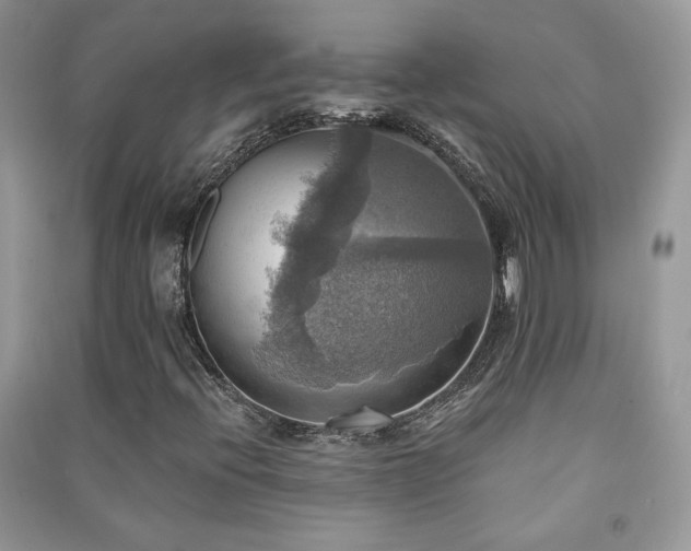 X0000091291396200708101236