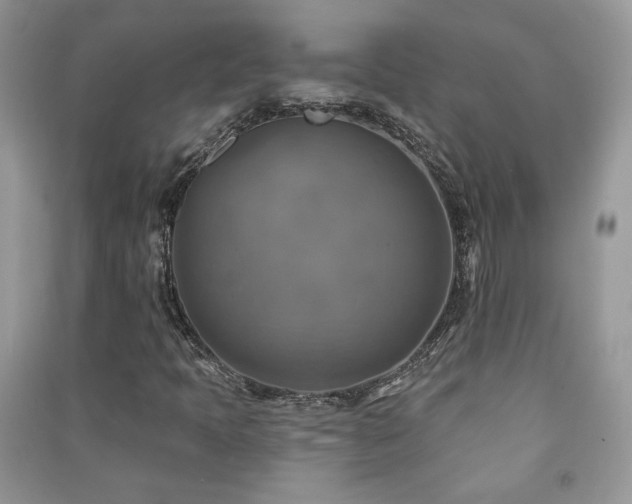 X0000091291397200708101236