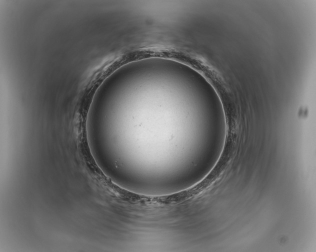 X0000091291398200708101236