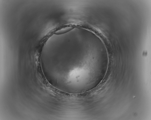 X0000091291399200708101236