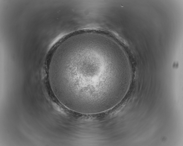 X0000091291400200708101236