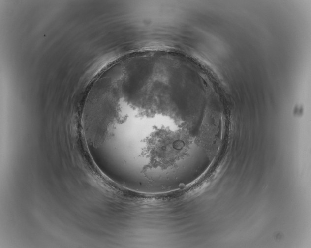 X0000091291401200708101236