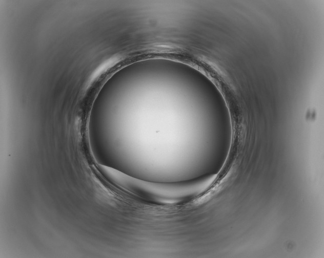 X0000091291402200708101236