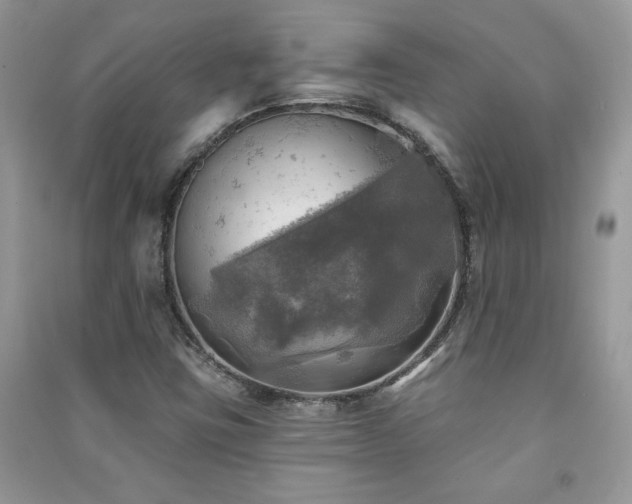 X0000091291403200708101236