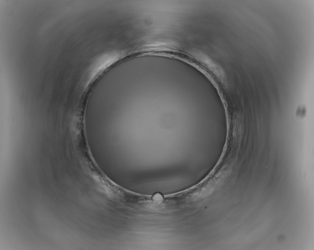 X0000091291405200708101236