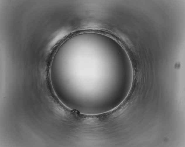 X0000091291406200708101236