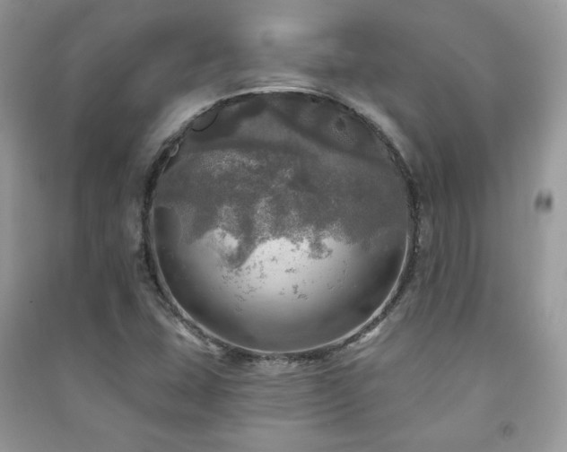X0000091291407200708101236