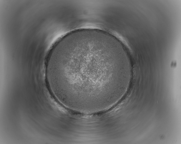 X0000091291408200708101236