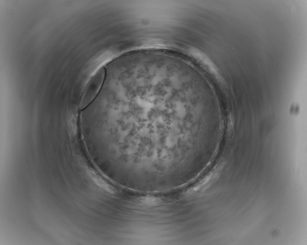 X0000091291409200708101236