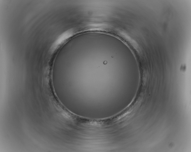 X0000091291411200708101237