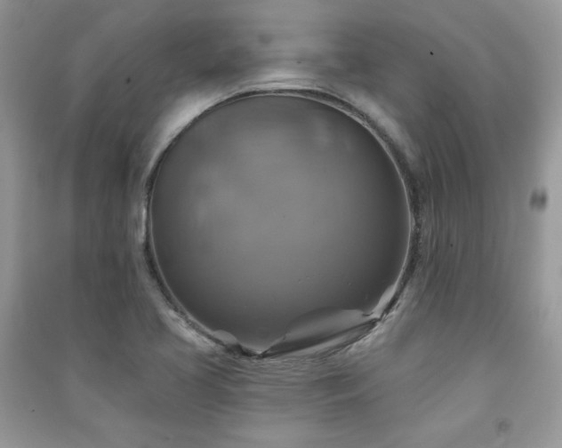 X0000091291413200708101237