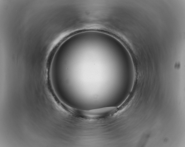 X0000091291414200708101237