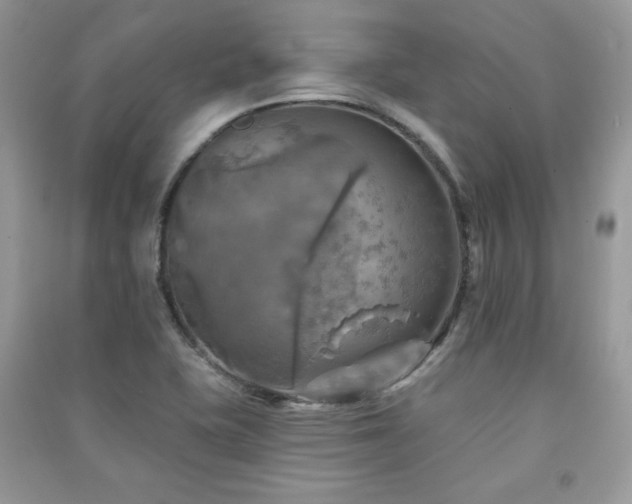 X0000091291415200708101237