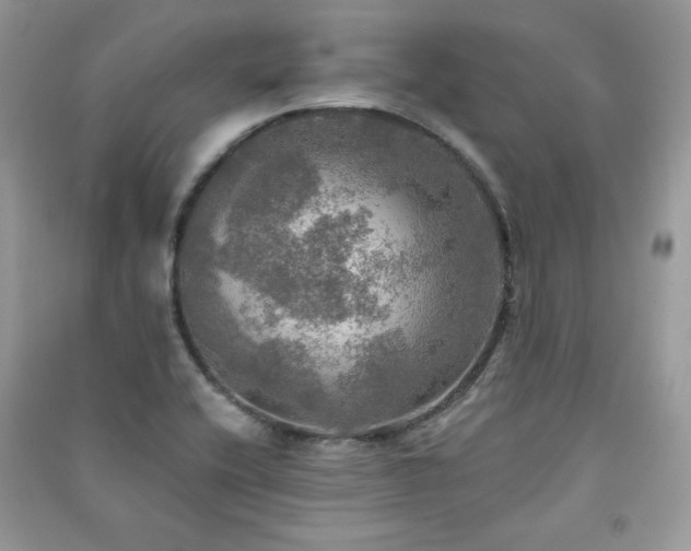 X0000091291416200708101237