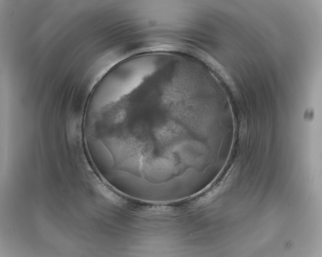 X0000091291417200708101237