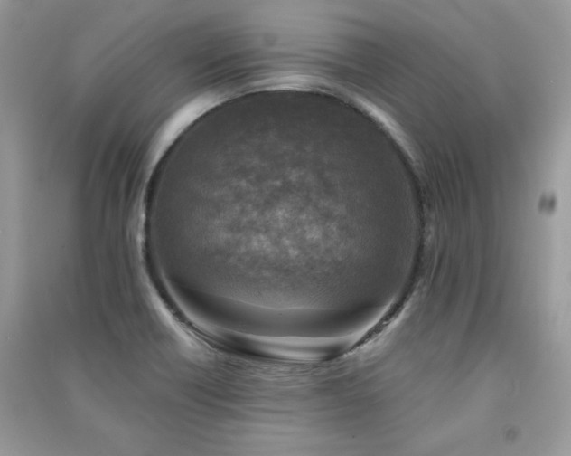 X0000091291418200708101237