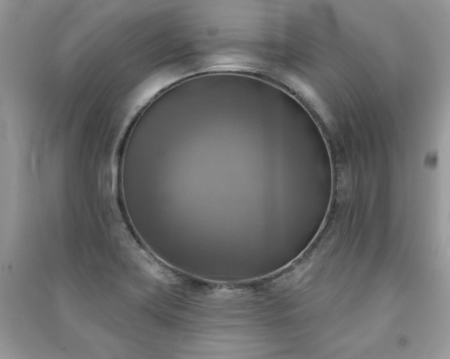 X0000091291419200708101237