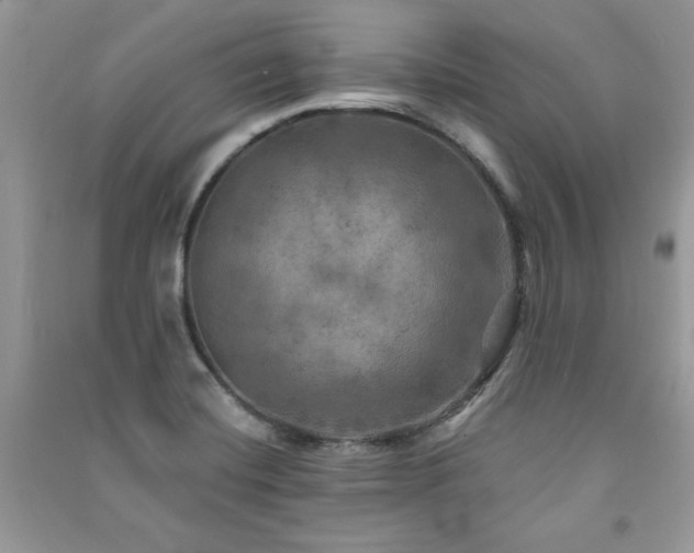 X0000091291420200708101237
